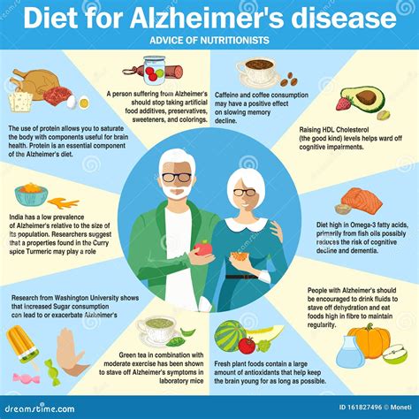 diet for alzheimer s disease infographics food useful for alzheimer s disease stock vector