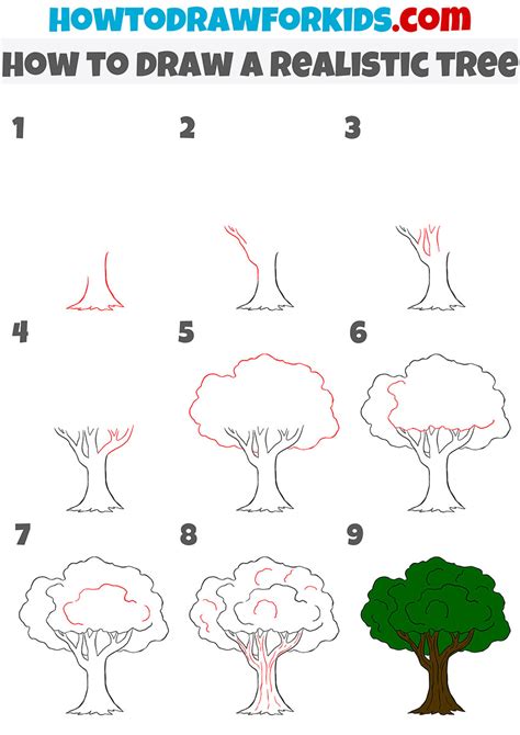 How To Draw A Tree Step By Step For Beginners