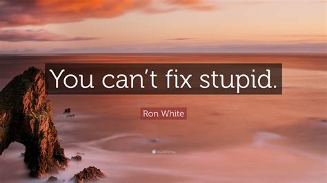 Ron White Quote You Cant Fix Stupid