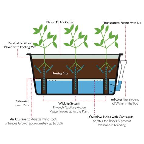 Greensmart Large Self Watering Reservoir Planter Cream