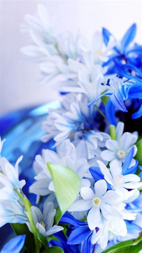 Blue White Flowers Wallpaper Iphone Best Iphone Wallpaper White