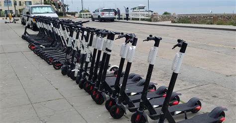 Tarnishing Our Jewel Electric Scooters Invade La Jolla Diseased Palm