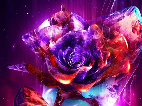Colorful Fiery Flower 4k Abstract Hd Desktop Wallpaper Widescreen