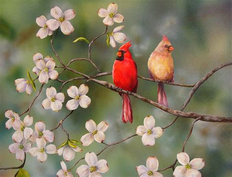 Wallpaper Birds And Flowers Wallpapersafari