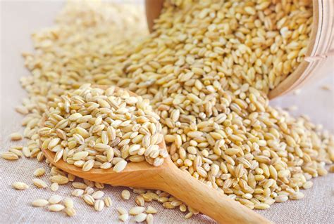 Pearled Wheat Agt Foods From Producer To The World