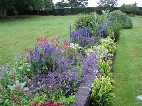 Top 10 Plants For Cottage Style Borders Living Colour Gardens