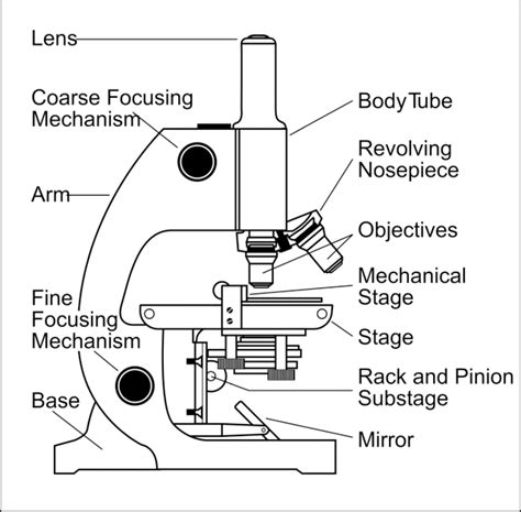 Simple Microscope Definition Principle Parts And Uses Microscope Club