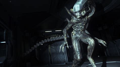 Fortnite Alien Vs Predator Crossover Is Really Happening As New Details