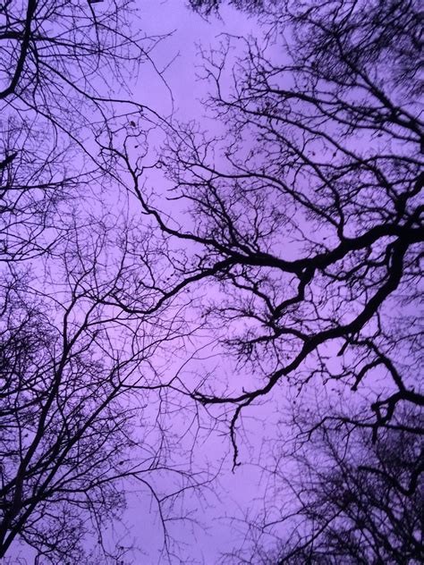 Wot If Lavender Aesthetic Violet Aesthetic Purple Aesthetic