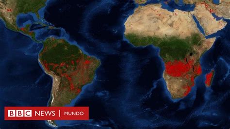 Incendios En El Amazonas Los Grandes Fuegos Que Se Registran En África Y Por Qué No Son