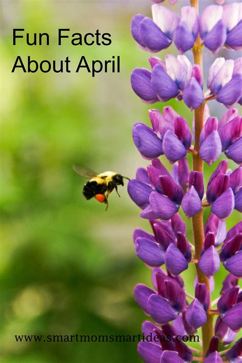 Interesting Facts About April Fun Facts Seasons Of Life Life