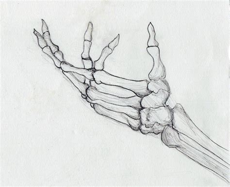 Https://tommynaija.com/draw/how To Draw A Skull Hand