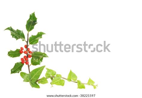 Holly Ivy Christmas Border Stock Photo Edit Now 38221597