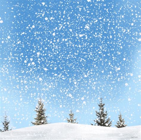 Scenic Snow Background Attractive Christmas Theme Backdrops Fashion