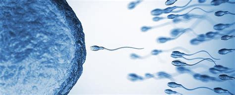 Scientist Says Sperm Counts Are Dropping So Low That Human Reproduction