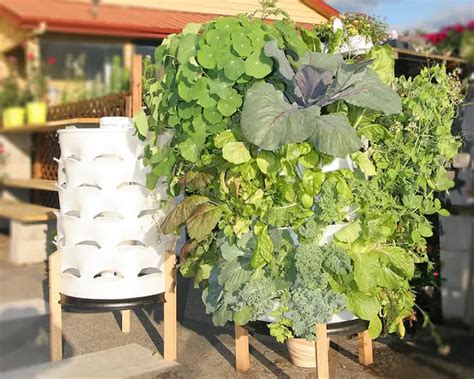 21 Amazing Ideas To Build Your Own Tower Garden Gardenoid