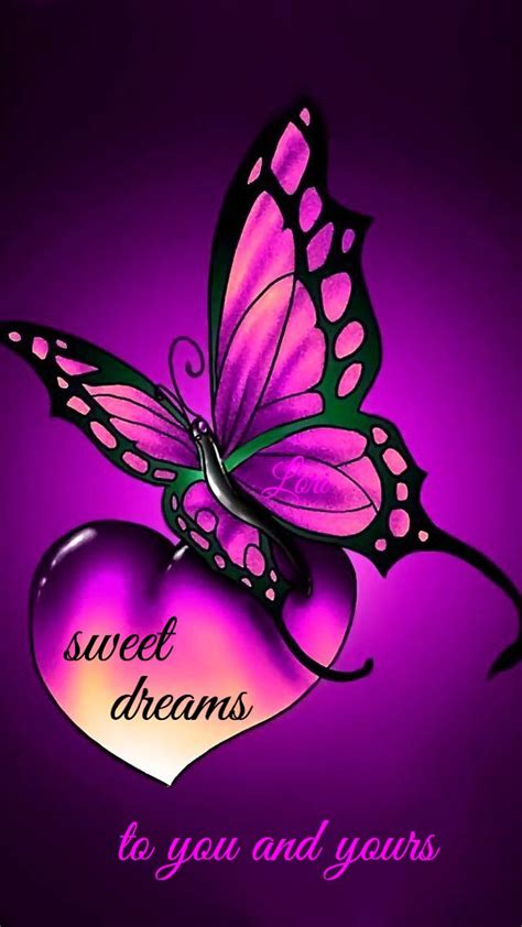 Love Good Night Butterfly Images Animaltree