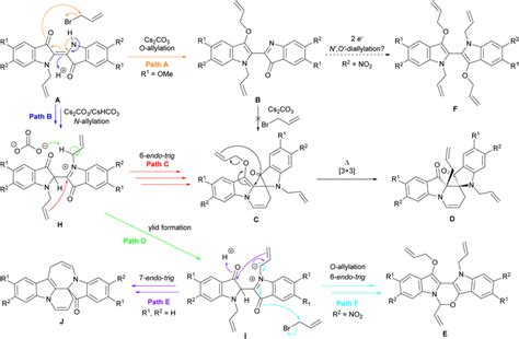 The Updated Mechanistic Pathways Of Indigo Allylation Cascade