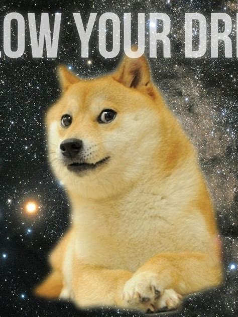 Free Download Doge In Space Doge Wallpaper 1920x1080 14011 1920x1080