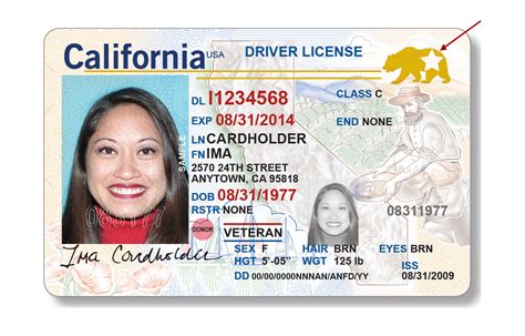 Licencia De Conducir En Estados Unidos Qué Significa La Estrella Que