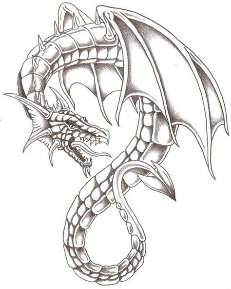 Dragon Coloring Page Dragon Tattoo Art Dragon Tattoo Drawing Celtic