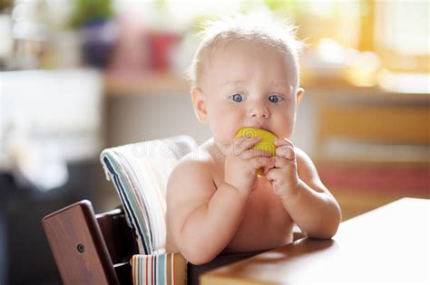 Baby Eating Healthy Food Stock Image Image Of Nutrition 42817341