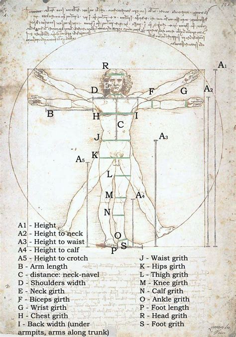 Vitruvian Man Da Vinci Davinci In 2019 Da Vinci Inventions