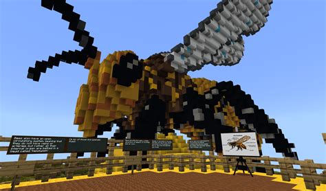 Build With Bees Anatomy Minecraft Education Edition