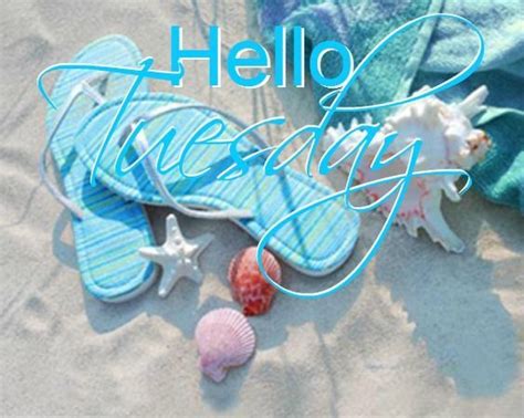 Hello Tuesday Summer Beach Quote Good Morning Tuesday Tuesday Quotes