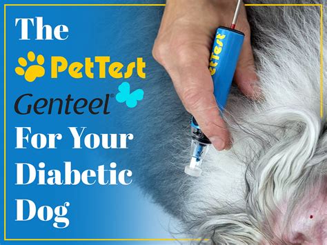The Pettest Genteel For Your Diabetic Dog Pettest By Advocate