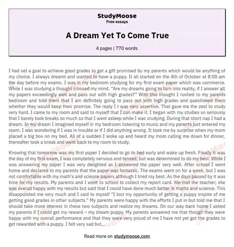 A Dream Yet To Come True Free Essay Example
