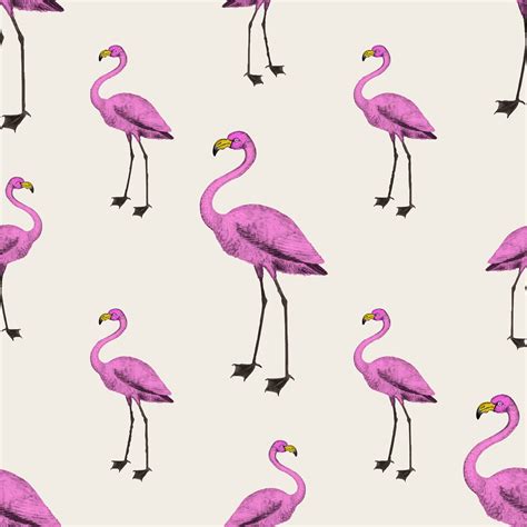 Pink Flamingo Wallpaper Download Free Vectors Clipart Graphics