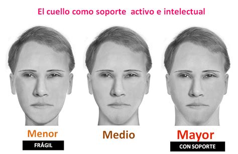 Diccionario de Morfopsicología y Psicología Morfopsicología Integral