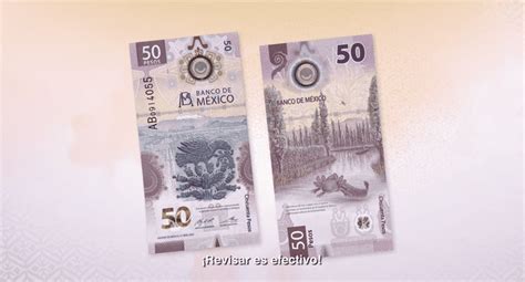 Banxico presenta su nuevo billete de 50 pesos Noticias de México EL