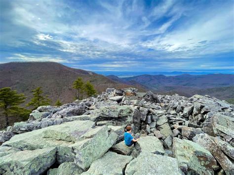 The Best Things To Do In Shenandoah National Park With Kids A