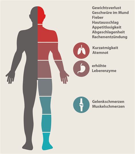 Das virus ist jedoch weiterhin aktiv und schädigt das doch gibt es grobe richtlinien, wann eine haart grundsätzlich ratsam ist. Wie schnell bekommt man aids - Gesunde Ernährung Lebensmittel