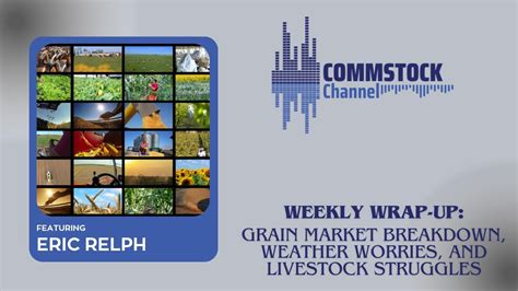 Weekly Wrap Up Grain Market Breakdown Weather Worries And Livestock