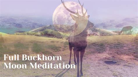 Full Buckhorn Moon Meditation Music Flute Calm Relaxing Peaceful
