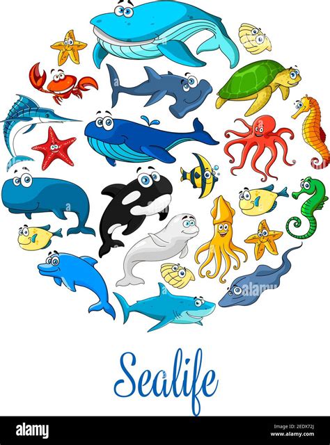 Sealife Poster Of Sea Dolphin Whale And Shark Seal Starfish And