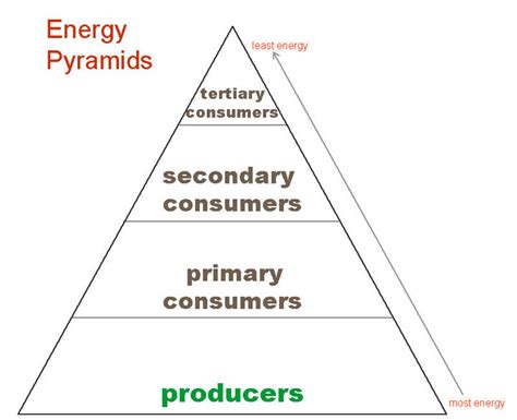 Maybe you would like to learn more about one of these? Energy Pyramid