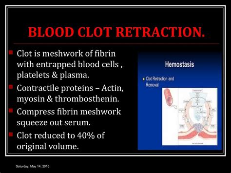 Haemostasis Coagulation Of Blood