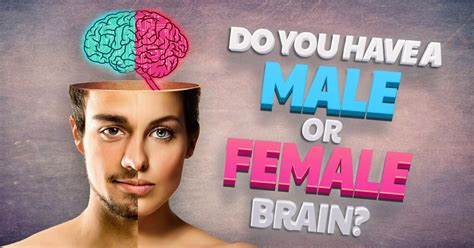 You Have A Female Brain Do You Have A Male Or Female Brain