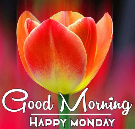 That would be monday for sure. Happy Monday good morning wishes with flowers in 2020 ...