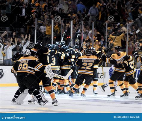 Bruins Win Editorial Stock Photo Image Of Hockey Celebrate 45536588