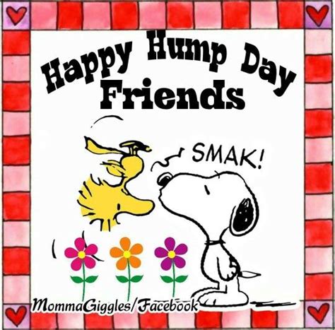 Wednesday with snoopy wednesday happy wednesday wednesday image quotes wednesday quotes and sayings. Follow me & The Gang :) https://www.pinterest.com ...