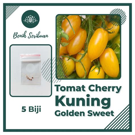 Jual Benih Tomat Cherry Kuning F Golden Sweet Cerry Ceri Bibit