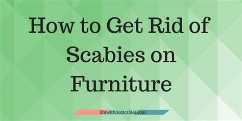How to get rid of lice on furniture. 10 Tips on How to Clean for Scabies