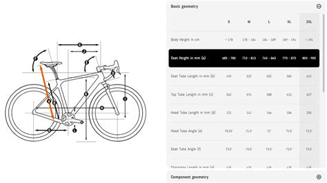 Canyon Mtb Frame Size Guide