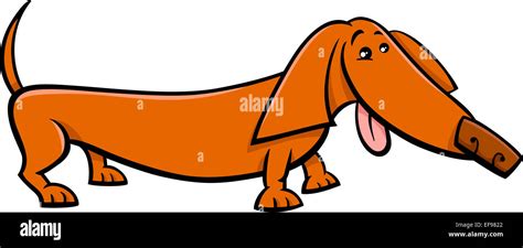 Cartoon Illustration Of Funny Purebred Dachshund Dog Stock Photo Alamy