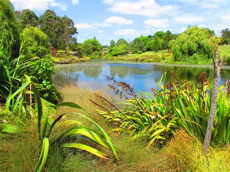Auckland Botanic Gardens Jontynz Tales From Around The World